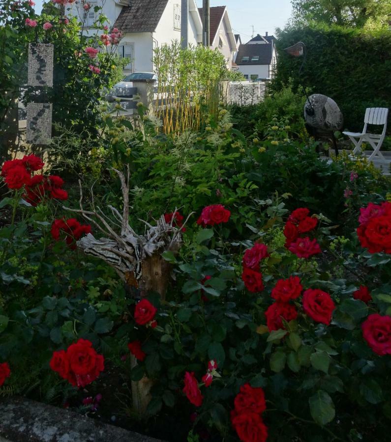 Gite Du Heron Ла-Ванзено Экстерьер фото